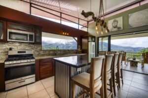 Pics-46 kitchen view