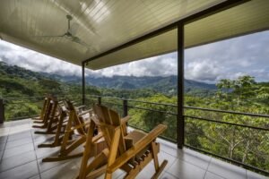 Pics-56 rocking chairs