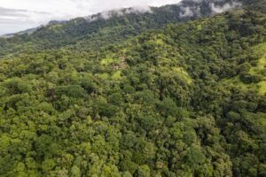 Pics-6 Ariel for map lines