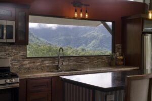 Pics-60 view out kitchen window