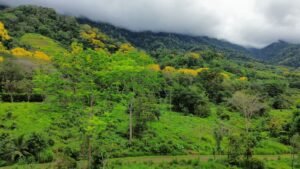 lot 22 mountain view