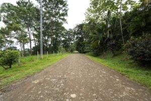 road leading to entrance