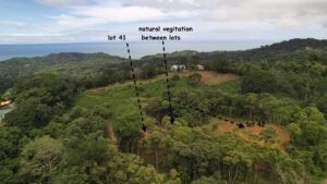 showing natural vegitation between lots