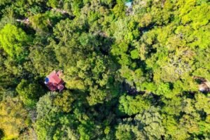 11_property and river_2