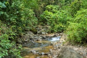 11_property and river_4