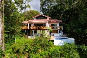 1_aerial & lead pics_2