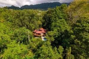 1_aerial & lead pics_3