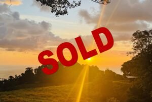 BDM-Lot-9_sunset.4-1170×785 (1)