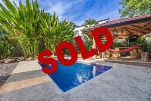 ConeCat-02-Photoroom