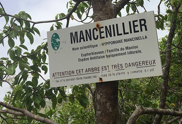 A warning sign in the Seychelles. c/o Laurence chenaud, wikicomons.