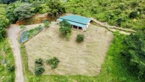 Photo 19-10-24, 10 31 05 AM