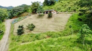 Photo 19-10-24, 10 31 31 AM