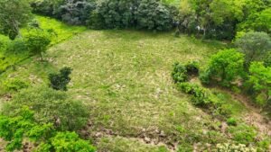 dji_fly_20240813_090116_0027_1723561755258_photo