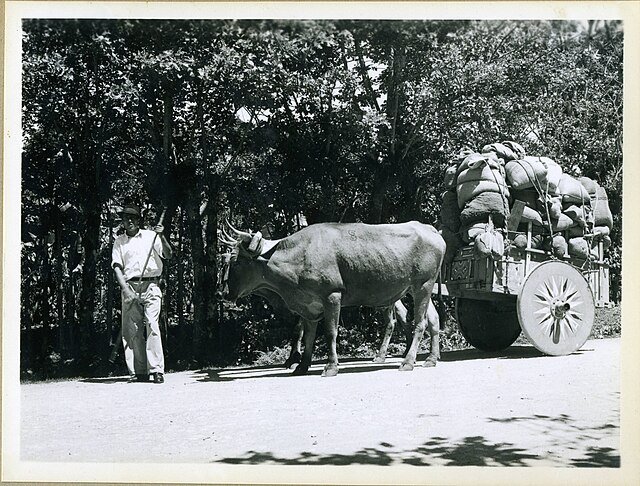 This is what Costa Rican coffee trade looked like nearly 100 years ago.