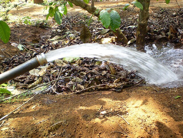Water-wasting irrigation methods, like the pictured surface irrigation, are being replaced by more effective and much more economical drip irrigation. c/o DXLINH, wikicommons.
