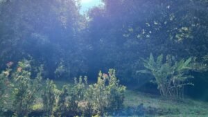 120007 House For Sale 12