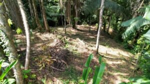 120007 House For Sale 28