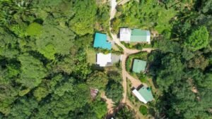 120007 House For Sale 29