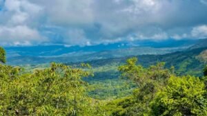 5516 – Costa Verde Lot #43_01