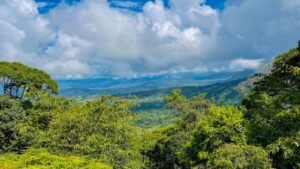 5516 – Costa Verde Lot #43_02