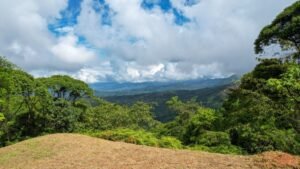 5516 – Costa Verde Lot #43_03