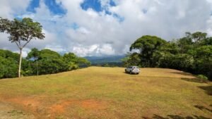 5516 – Costa Verde Lot #43_05