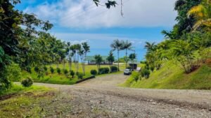 5516 – Costa Verde Lot #43_11