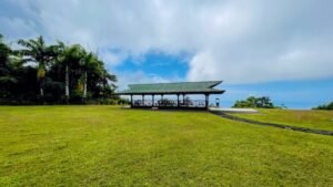 5516 – Costa Verde Lot #43_12
