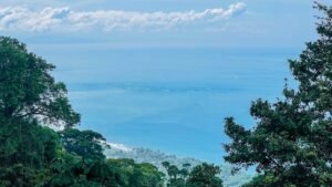 5516 – Costa Verde Lot #43_15