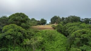 5516 – Costa Verde Lot #43_17