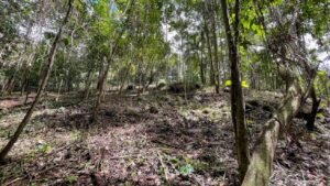 5934 Property For Sale in Las Brisas 01