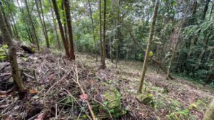 5934 Property For Sale in Las Brisas 02