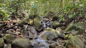 5934 Property For Sale in Las Brisas 04