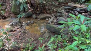 5934 Property For Sale in Las Brisas 05