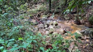 5934 Property For Sale in Las Brisas 06