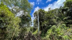 5934 Property For Sale in Las Brisas 07