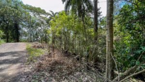 5934 Property For Sale in Las Brisas 08