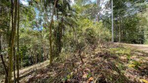 5934 Property For Sale in Las Brisas 09