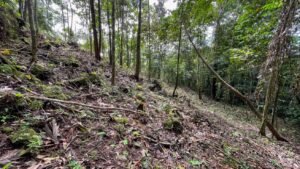 5934 Property For Sale in Las Brisas 10