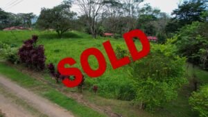 5936 Property For Sale in Ojochal 01 (1)