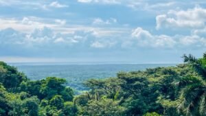 8160 House Chontales David Sherwood 05