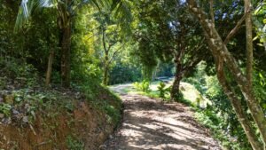 DJI_20250122095706_0016_D