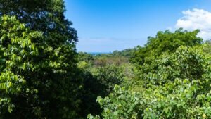 DJI_20250122095728_0018_D