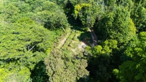 DJI_20250122095804_0021_D