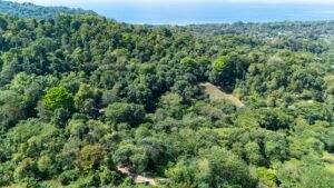 DJI_20250122095936_0024_D