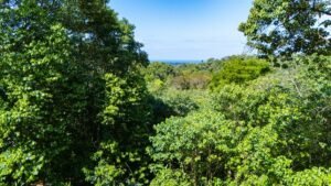 DJI_20250122100458_0032_D