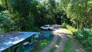 DJI_20250122100514_0034_D