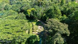 DJI_20250122100543_0037_D