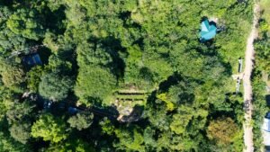 DJI_20250122100621_0039_D