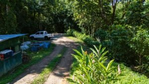 DJI_20250122100802_0042_D